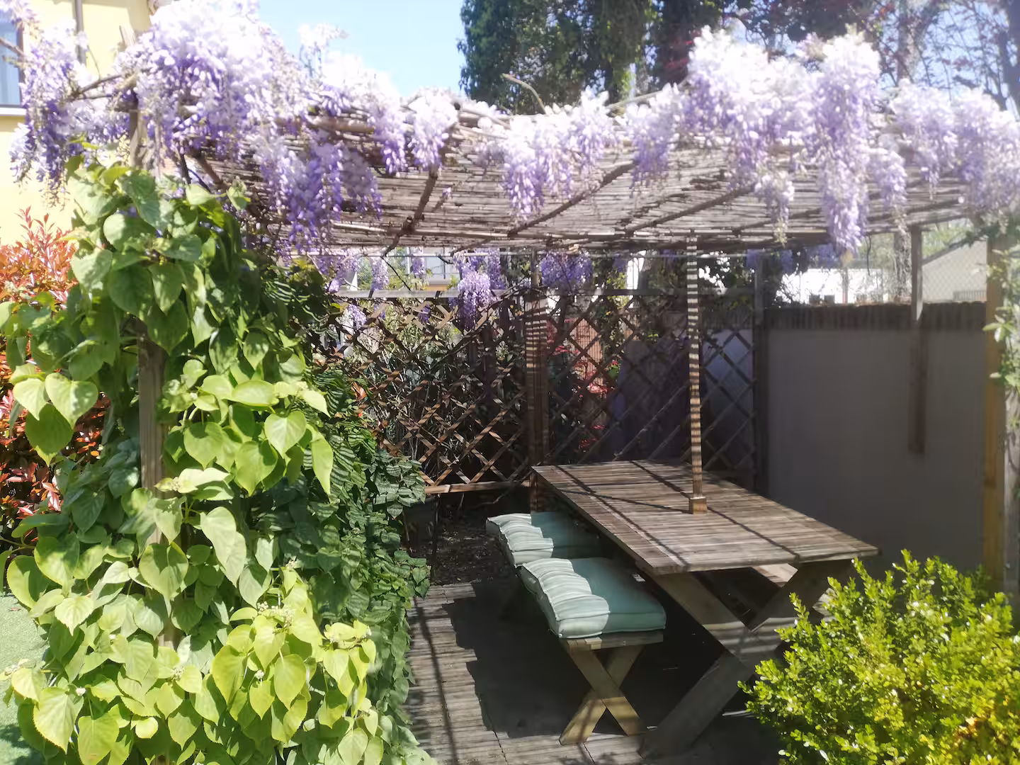 Casa Nina — The Whole House — Photo 8